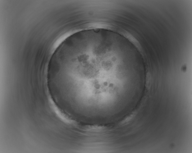 X0000116791039200912181249