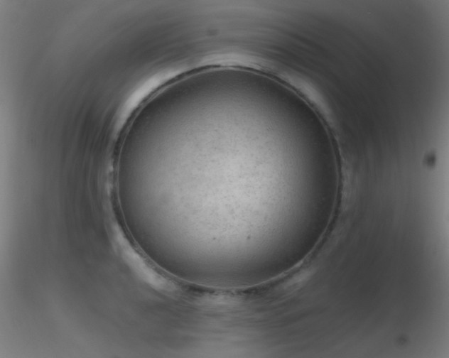 X0000116791040200912181249