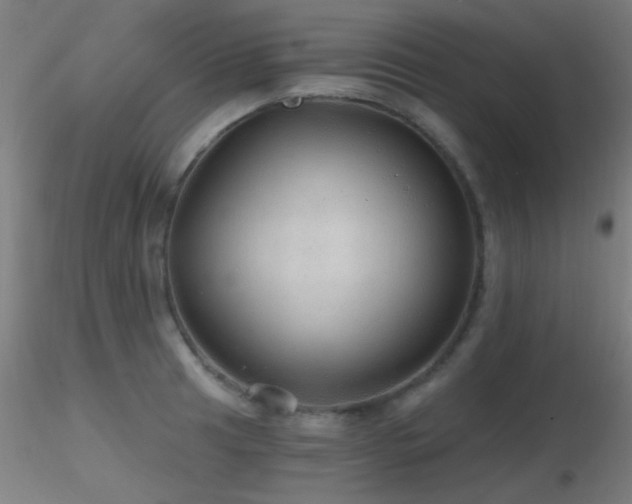 X0000116791041200912181249