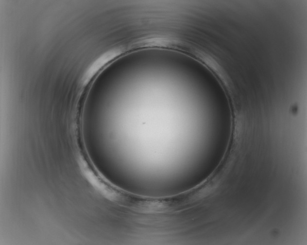 X0000116791042200912181249