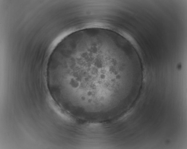 X0000116791043200912181249