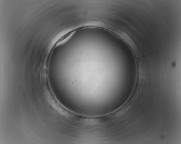 X0000116791044200912181249