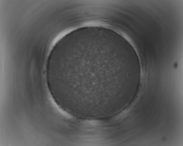 X0000116791045200912181249
