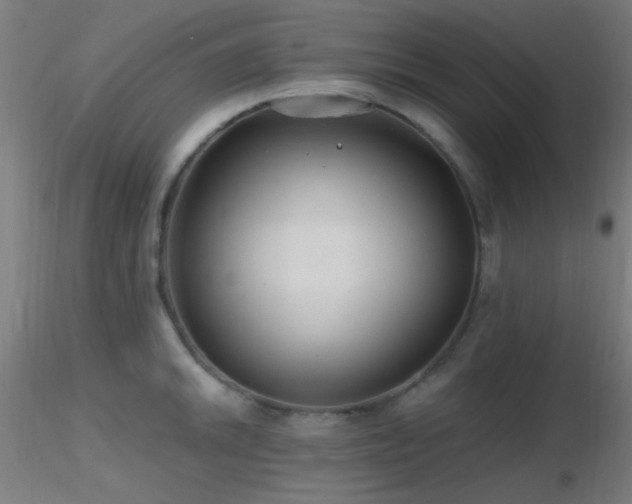 X0000116791046200912181249