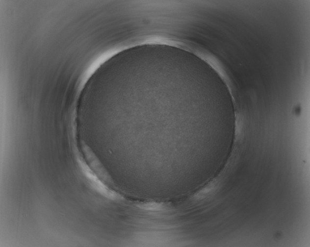 X0000116791048200912181249