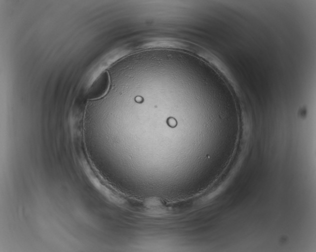 X0000116791049200912181249