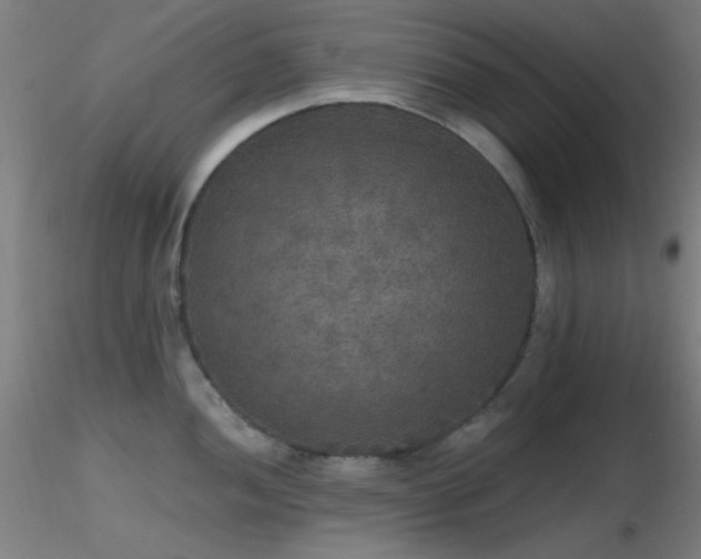 X0000116791052200912181249