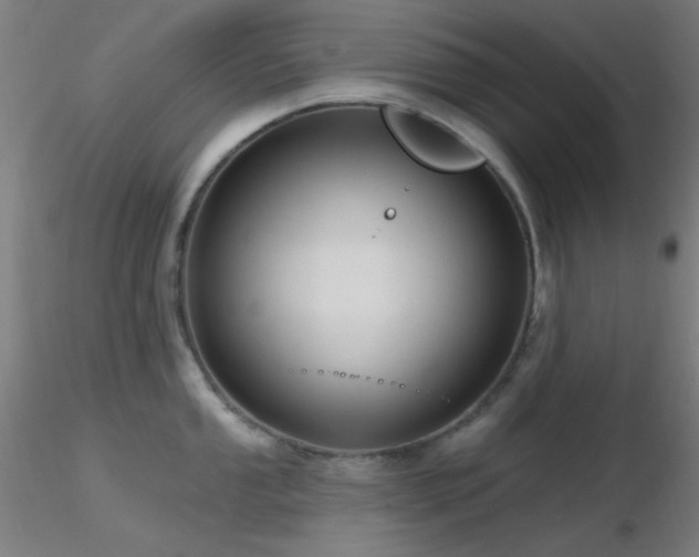 X0000116791053200912181249