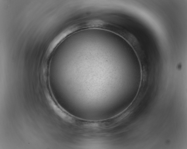 X0000116791054200912181249