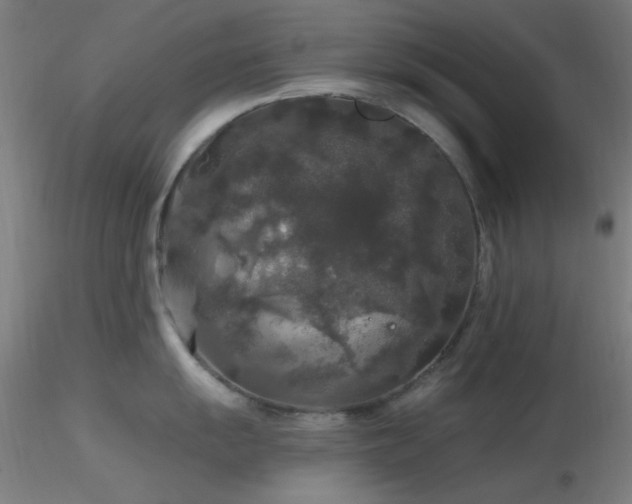 X0000116791055200912181249
