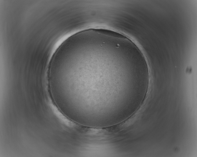 X0000116791056200912181249
