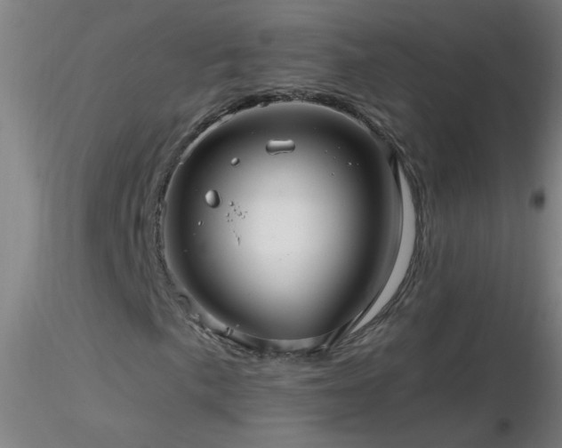 X0000116791057200912181248
