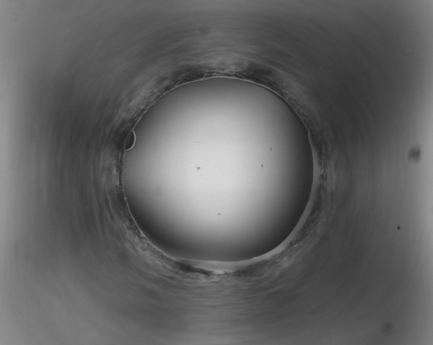X0000116791058200912181248