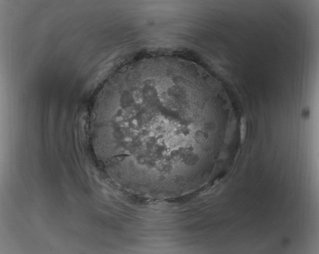 X0000116791059200912181248