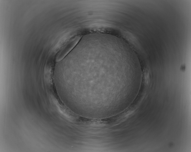 X0000116791060200912181248