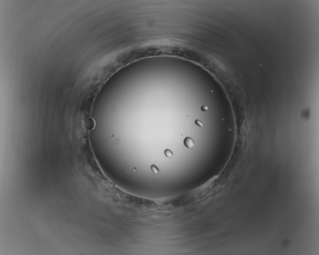 X0000116791062200912181248