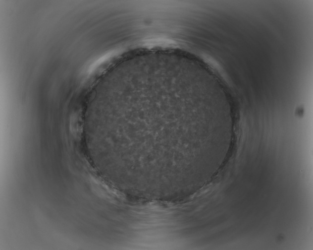 X0000116791063200912181248
