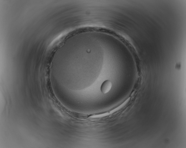 X0000116791064200912181248