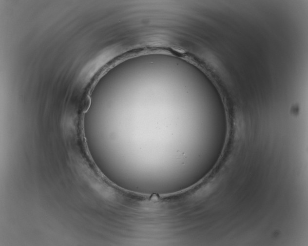 X0000116791065200912181248