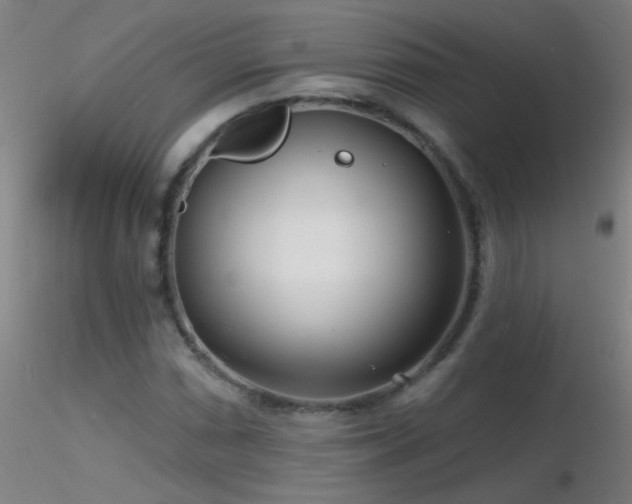 X0000116791066200912181248