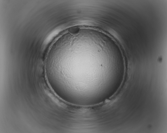 X0000116791067200912181248
