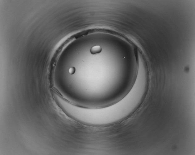 X0000116791068200912181248