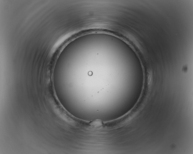 X0000116791069200912181248