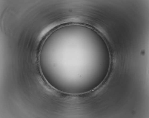 X0000116791070200912181248