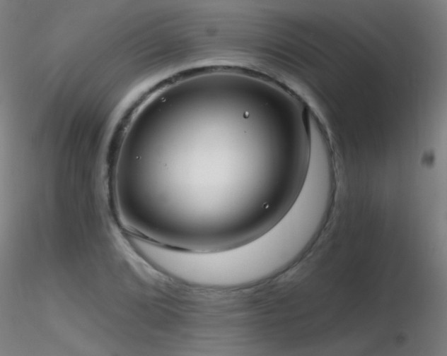 X0000116791072200912181248