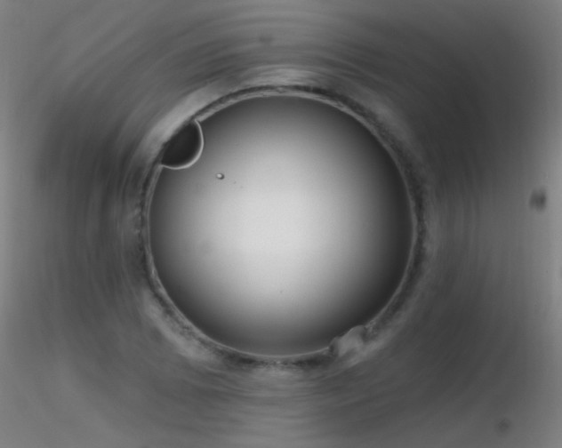 X0000116791073200912181248