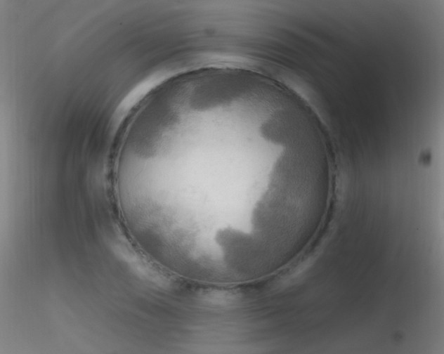 X0000116791074200912181248