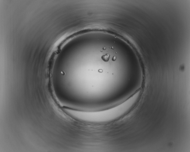 X0000116791075200912181248