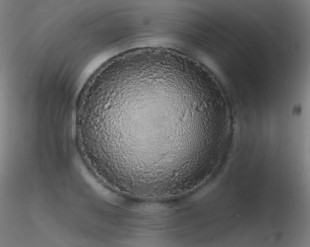 X0000116791079200912181248