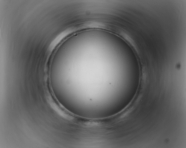 X0000116791082200912181248