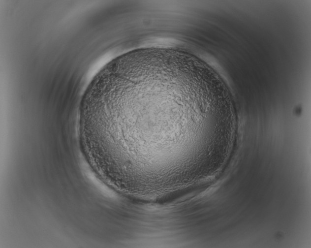 X0000116791083200912181248