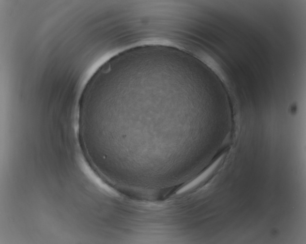 X0000116791084200912181248