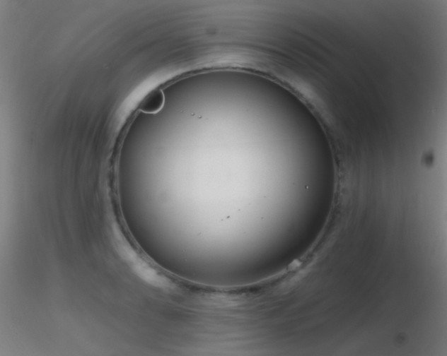 X0000116791086200912181248