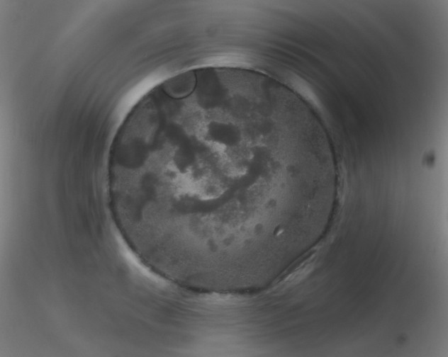X0000116791087200912181248