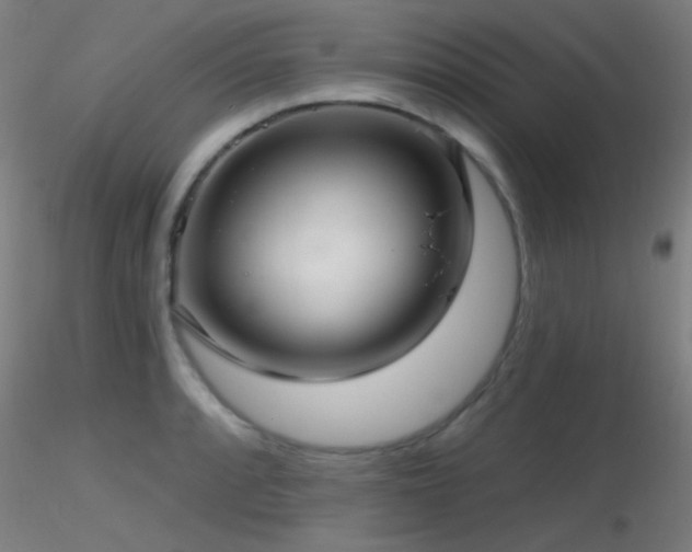 X0000116791088200912181248