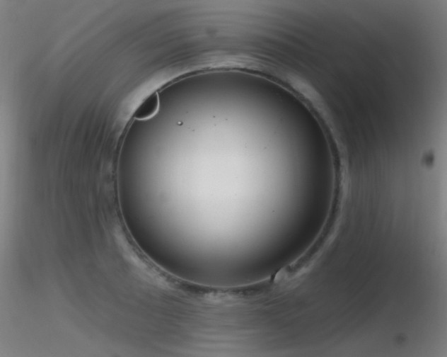 X0000116791089200912181248