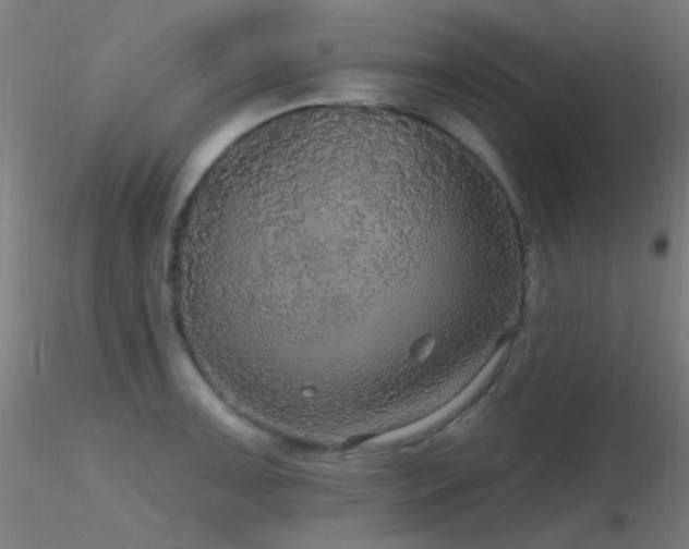 X0000116791091200912181248