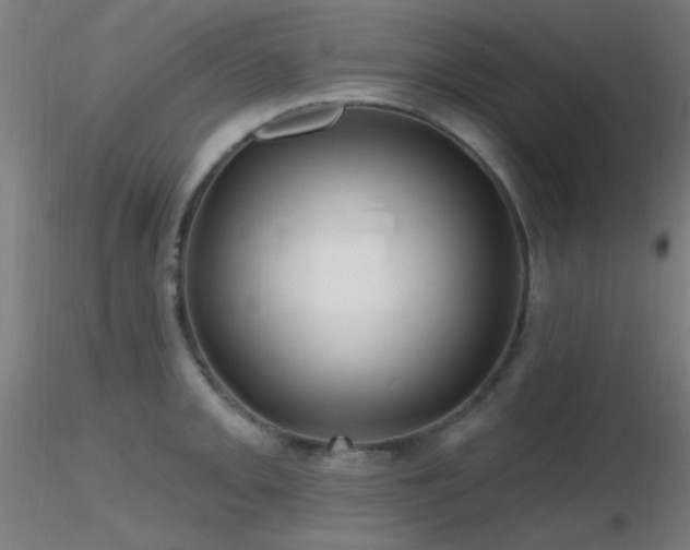 X0000116791093200912181248