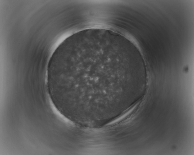 X0000116791095200912181248