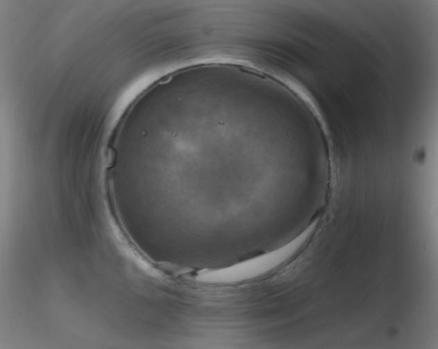 X0000116791096200912181248