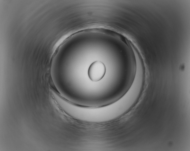 X0000116791097200912181248