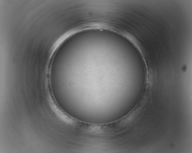 X0000116791098200912181248