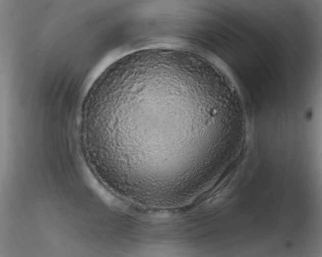 X0000116791099200912181248