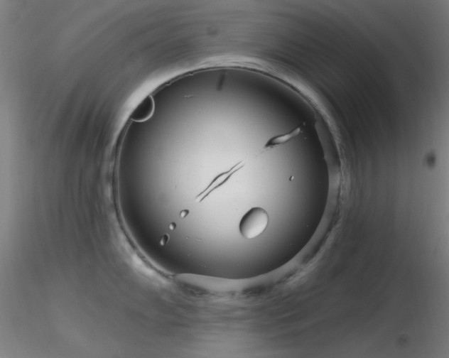 X0000116791102200912181248