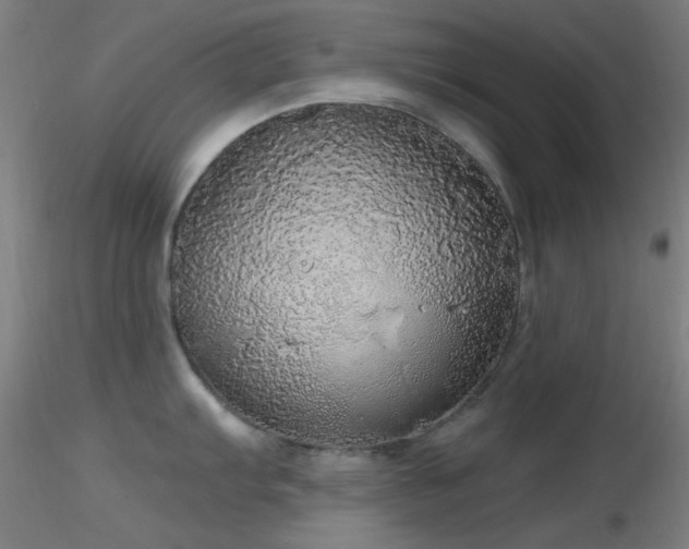 X0000116791103200912181248