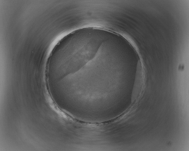 X0000116791104200912181248